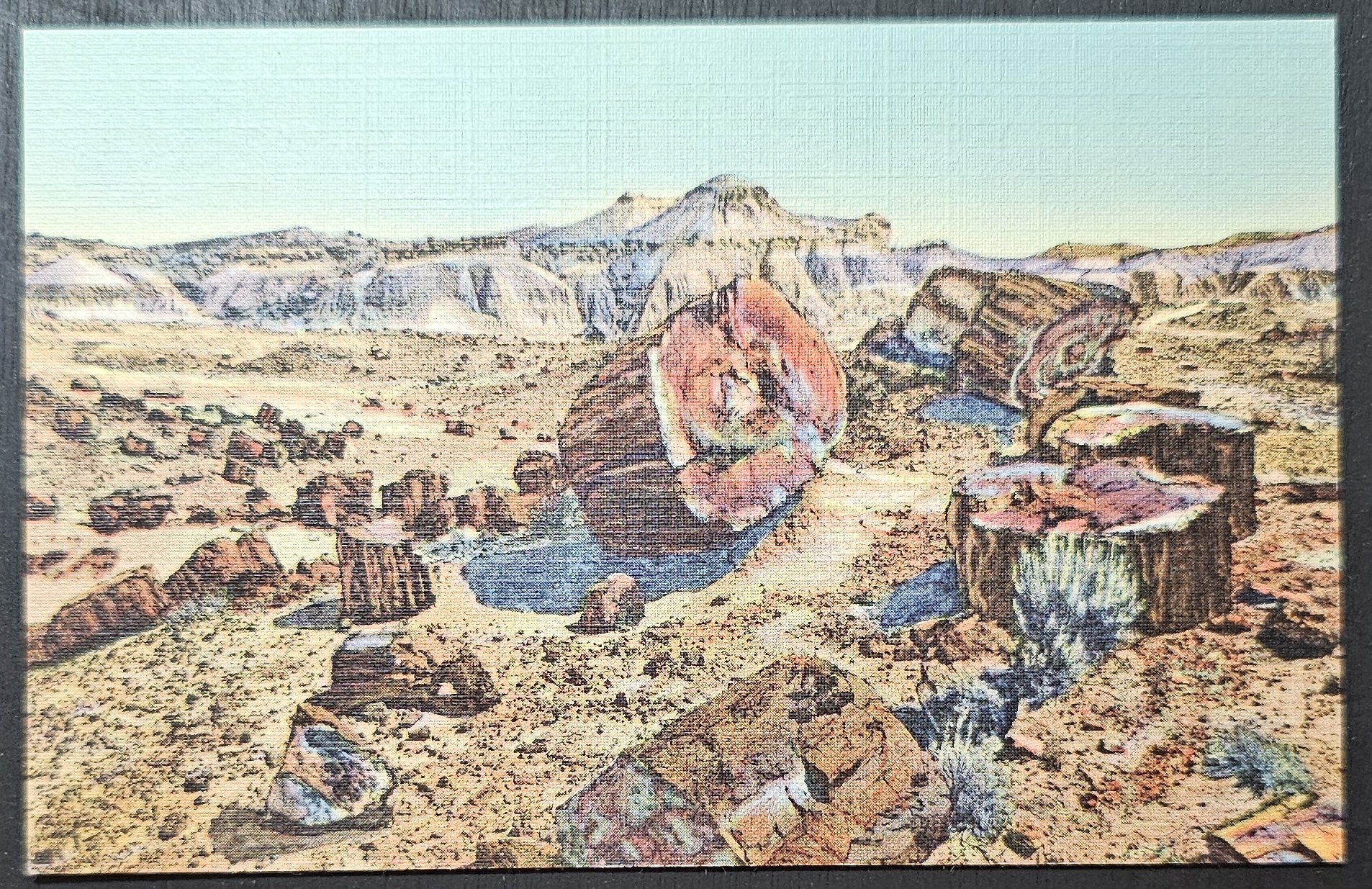 (image for) postcard USA - AZ - Arizona #0015